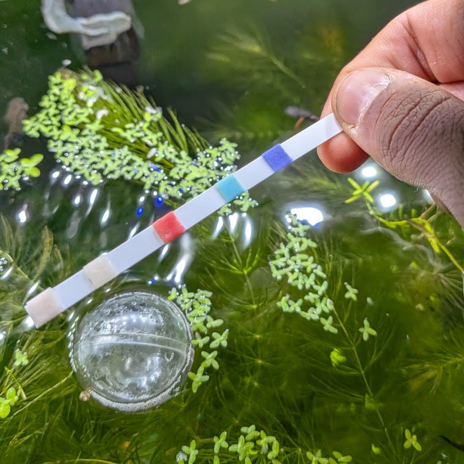 Aquarium Cycling & Water Parameters Guide